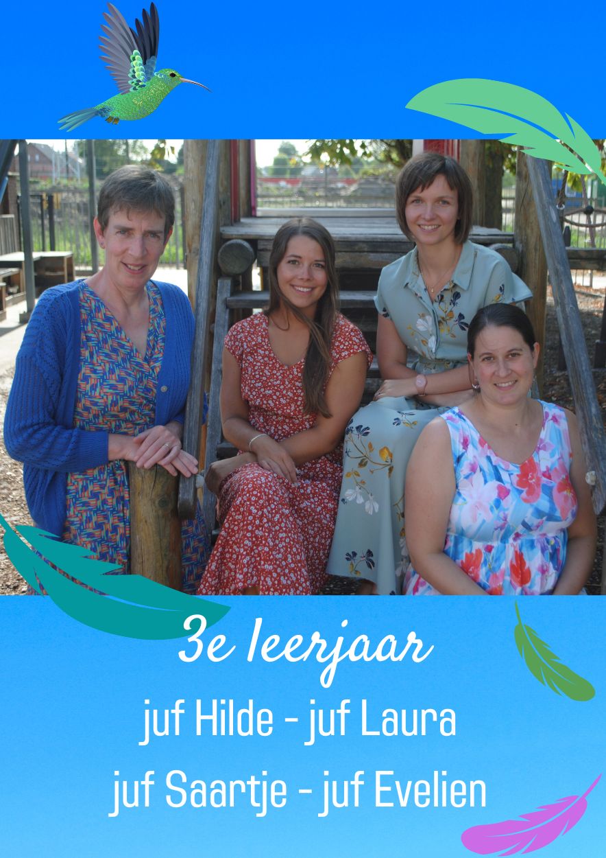 3e leerjaar