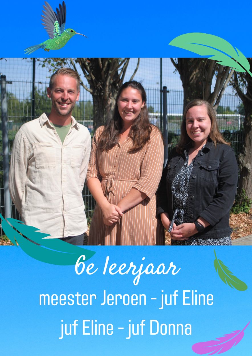 6e Leerjaar